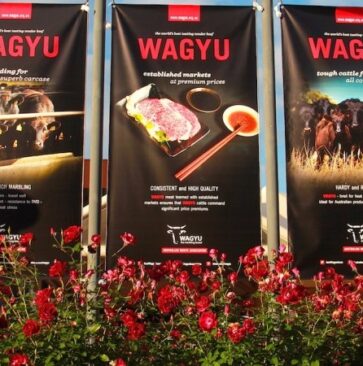 The 2017 Wagyu Conference